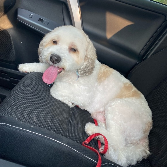 MEET MY PETS (: - Picture 7 of 16